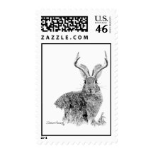 Jackalope Stamps