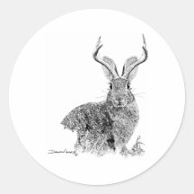 Jackalope Stickers