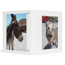 Jackass 002 binders