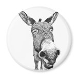Jackass Fridge Magnets Jackass Fridge Magnets
