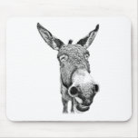 Jackass