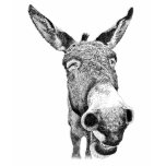Jackass T-shirt Jackass T-shirt