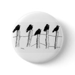 Jackdaws Pinback Button