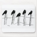 Jackdaws mousepads