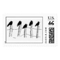 Jackdaws postage