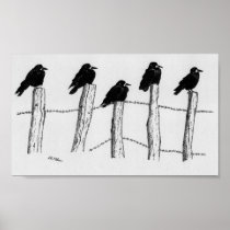 Jackdaws Poster