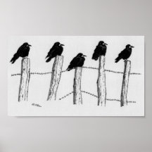 Jackdaws Poster