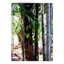 Jackfruits cards by CrisIsaac Jackfruits cards