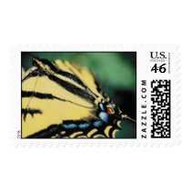 Jackie's Butterfly postage