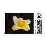 Jackies Poem Postage Stamps