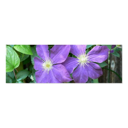 Jackmanii Clematis Business Card Template (front side)
