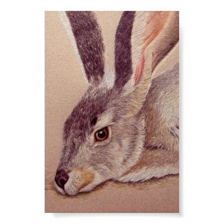 Jackrabbit Posters print
