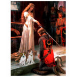 JackRussell Pair 3 - The Accolade JackRussell Pair 3 - The Accolade