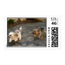 jackson and bitsy postage by niburaz jackson and bitsy postage