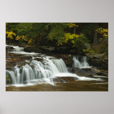 jackson falls nh