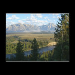 Jackson Hole Mountains and River Postcard