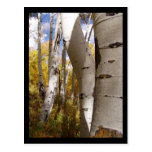 jackson hole post card