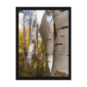 jackson hole postcards by iiiyaaa jackson hole postcards