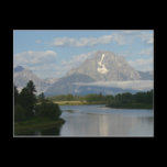 Jackson Hole River II Postcard