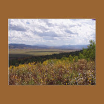 Jackson Hole Series postcards