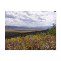 Jackson Hole Series postcards