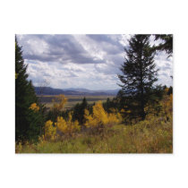 Jackson Hole Series postcards