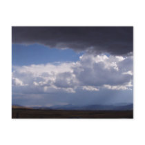 Jackson Hole Wyoming Series postcards