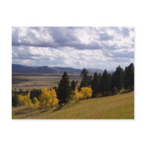 Jackson Hole Wyoming Series postcards