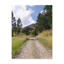 Jackson Hole Wyoming Series postcards