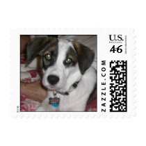 Jackson postage