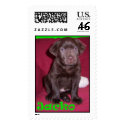 Jackson the Chocolate postage by dmcnair Jackson the Chocolate postage