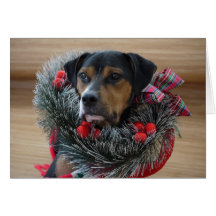 Jackson's Christmas Wreath Greeting Cards