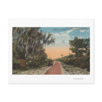 Jacksonville, Florida - View of John Anderson Postcards