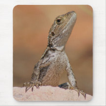 Jacky Dragon Mouse Pads