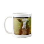 Jacob Lamb mugs