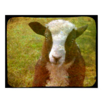 Jacob Lamb posters by angelandspot Jacob Lamb posters