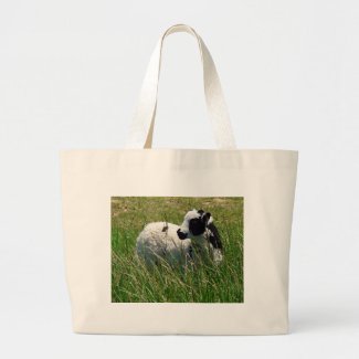 Jacob Ram Lamb bag