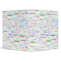 Jacob Text Design II Binder
