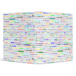 Jacob Text Design II Binder