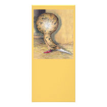 Jacobin Almond rack cards