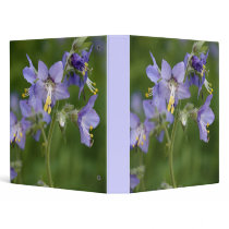 Jacobs Ladder binders