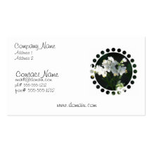 Jacobs Ladder Business Card