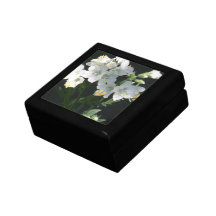 Jacobs Ladder  Gift Box
