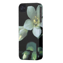 Jacob's Ladder iPhone 4/4S Case iPhone 4 Case-Mate Case