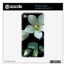 Jacob's Ladder iPhone 4/4S Skin Decals For iPhone 4