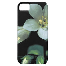 Jacob's Ladder iPhone 5 Case