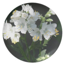 Jacobs Ladder  Plate