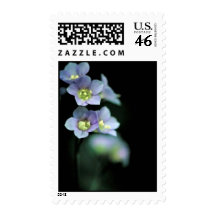 Jacob's Ladder Postage Stamp