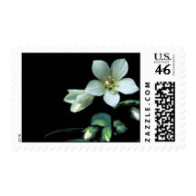 Jacob's Ladder Postage Stamps
