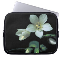 Jacob's Ladder Sleeve Laptop Sleeve
